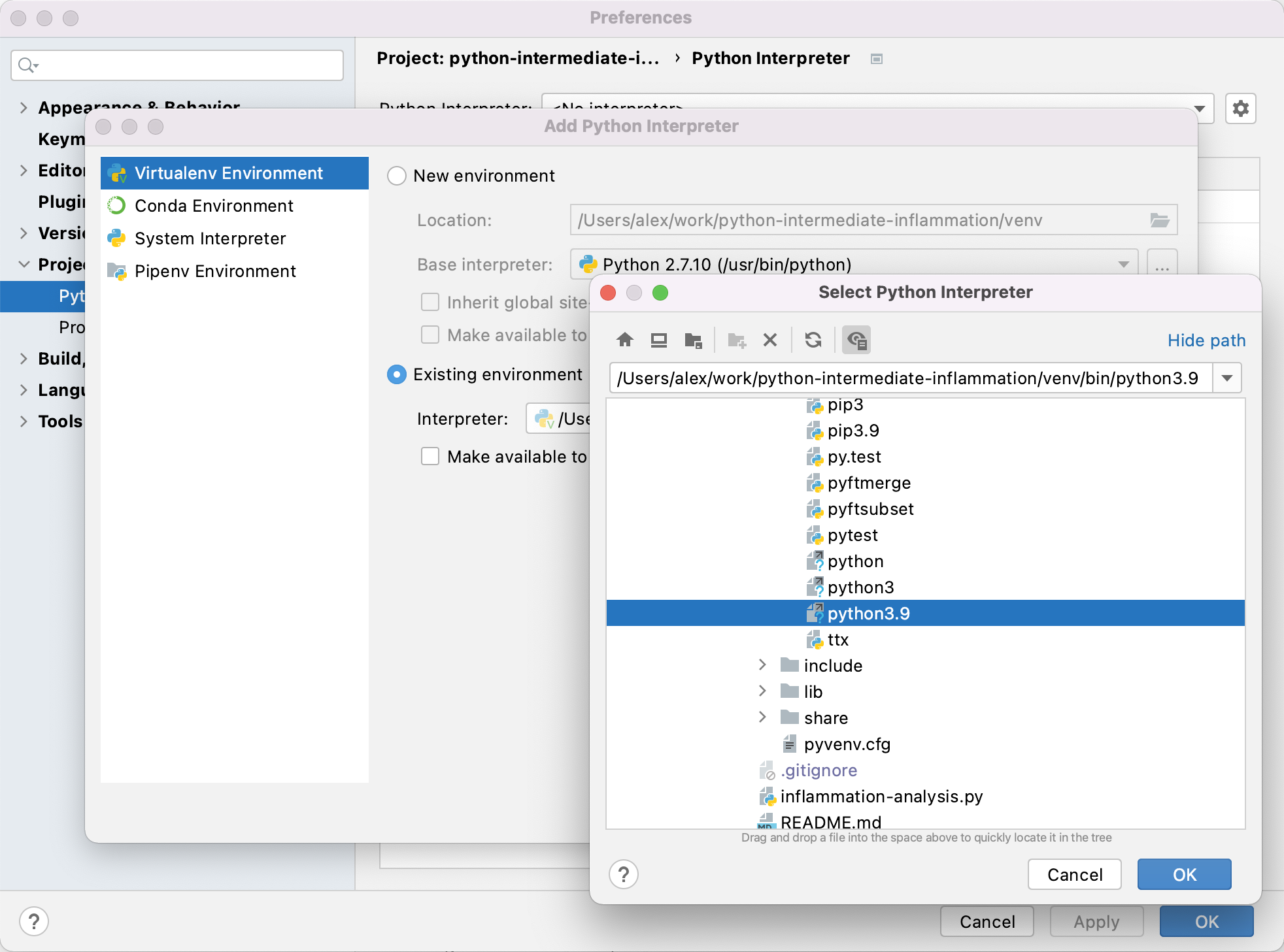 Configuring Python Interpreter in PyCharm